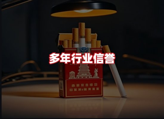 专业团队